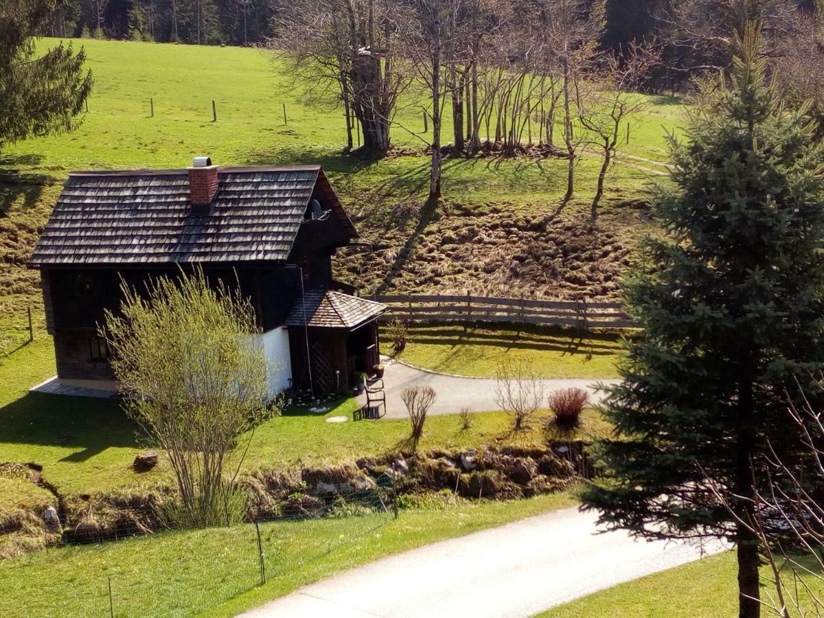 Ferienhaus "Badl" Villa Bad Goisern Dış mekan fotoğraf