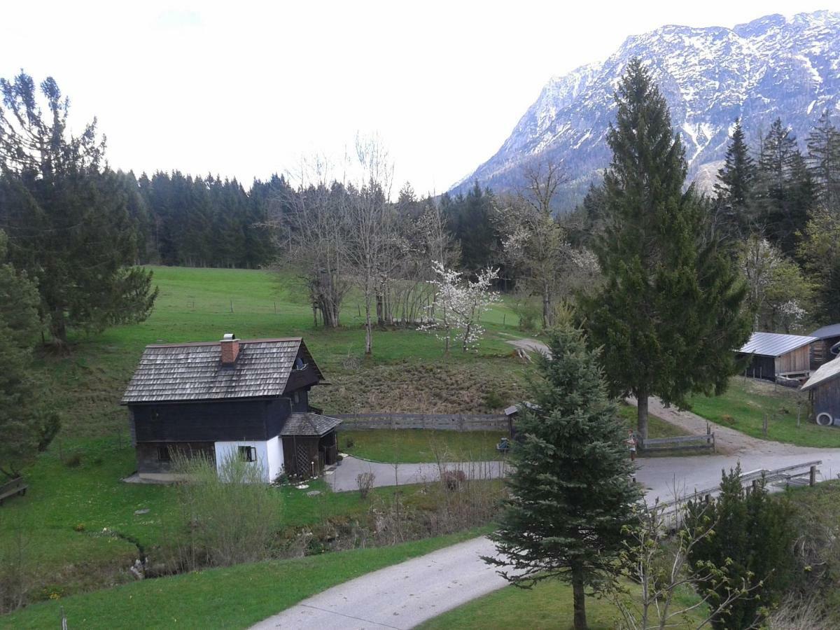 Ferienhaus "Badl" Villa Bad Goisern Dış mekan fotoğraf
